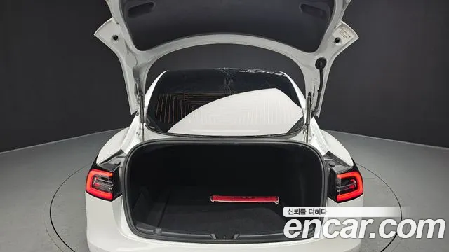 Tesla Model 3 2020