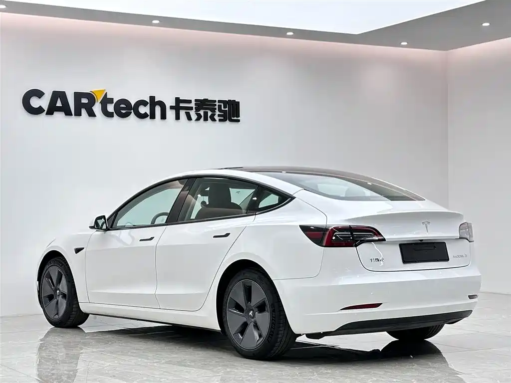 Tesla Model 3 2021