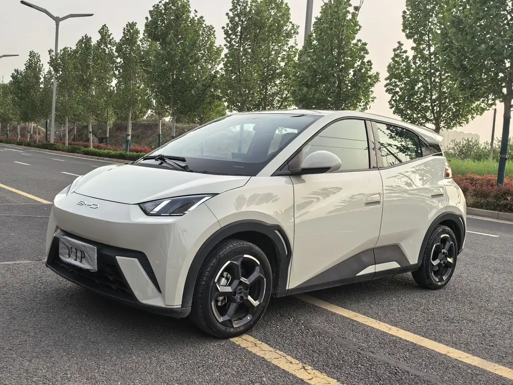 BYD Seagull 2024