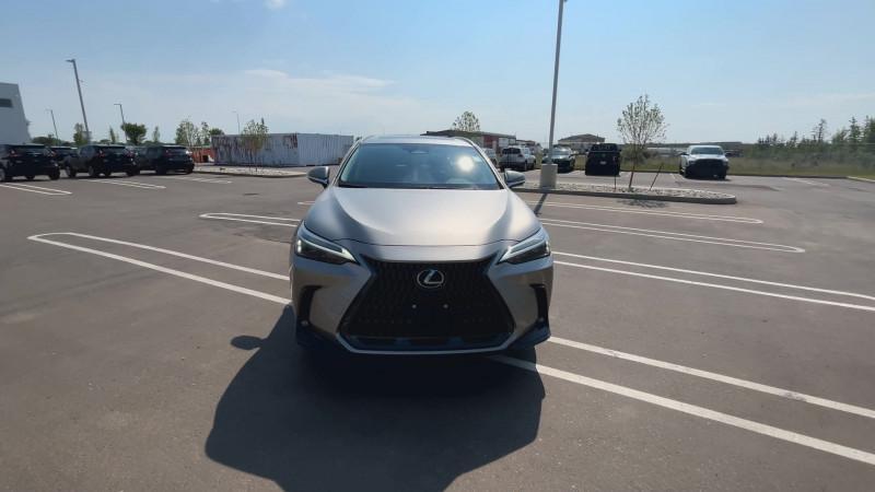 Lexus NX 2024