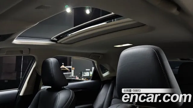 Lexus NX 2020