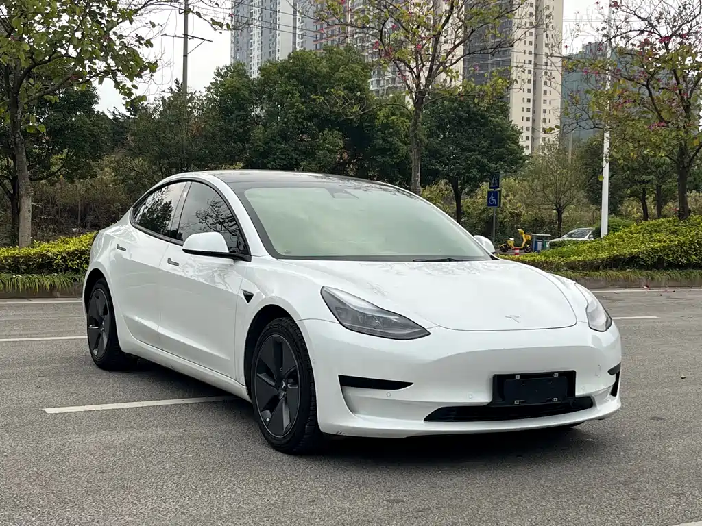 Tesla Model 3 2022