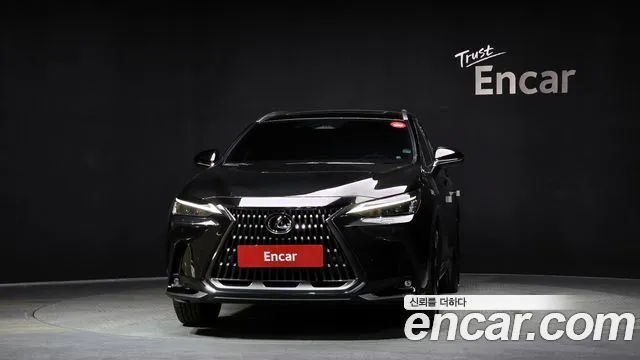 Lexus NX 2024