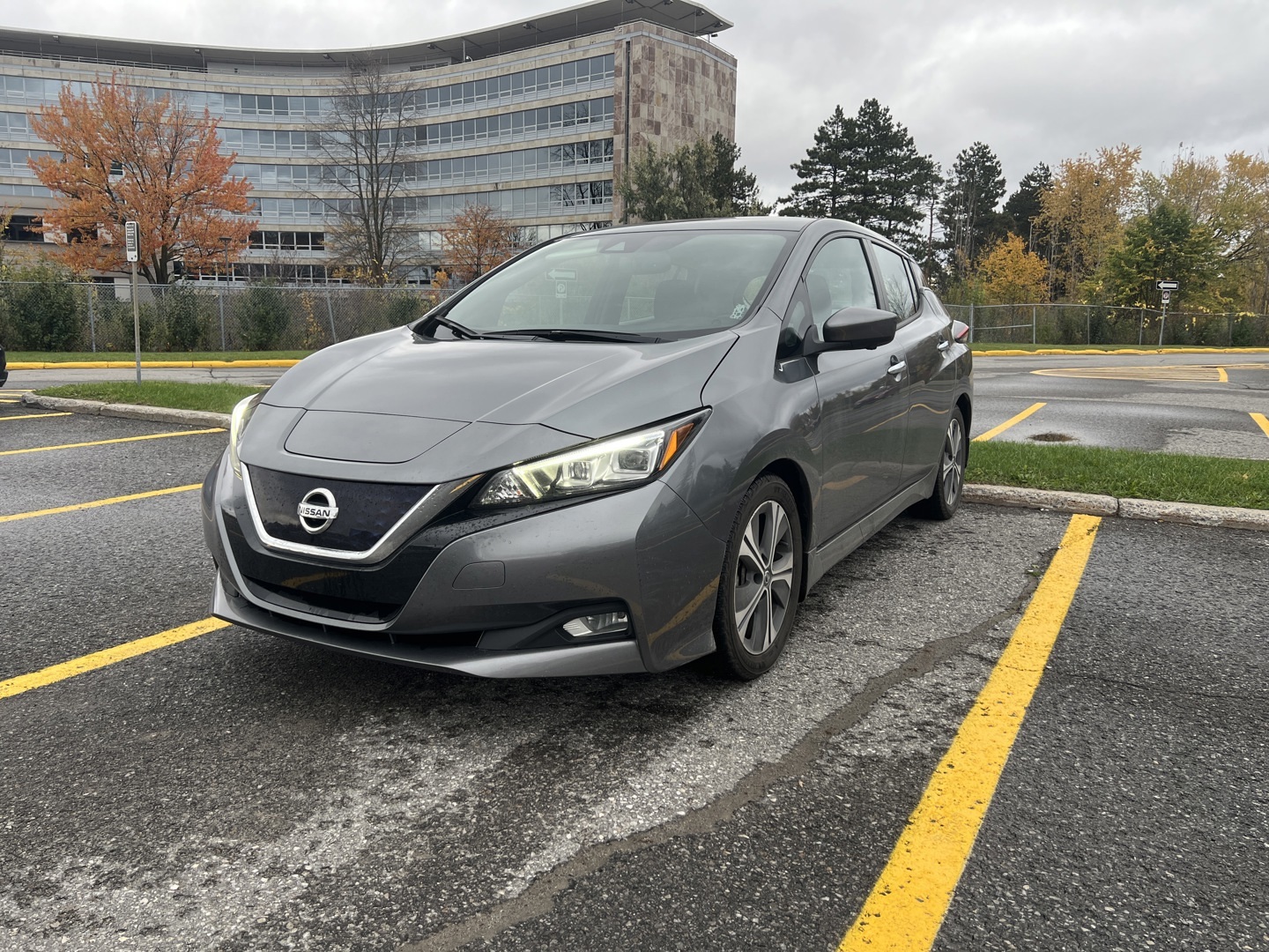 Nissan Leaf 2020