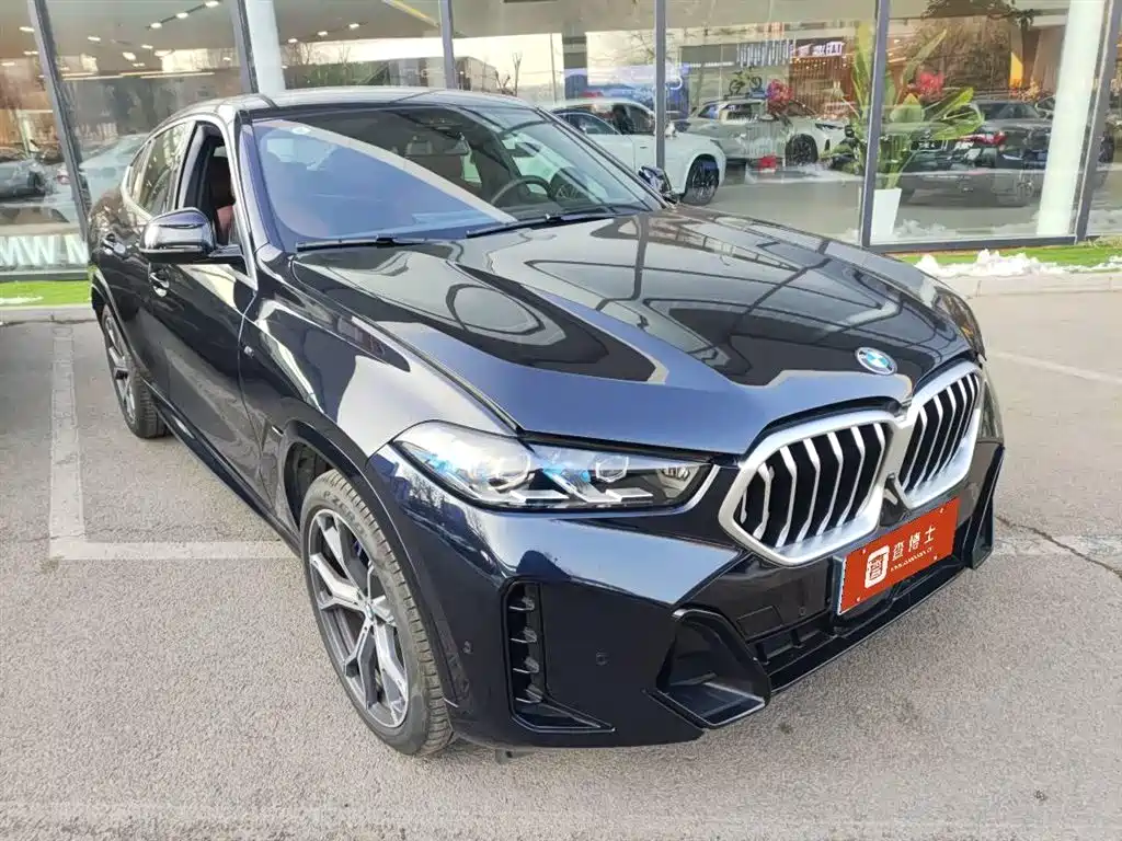 BMW X6 2024