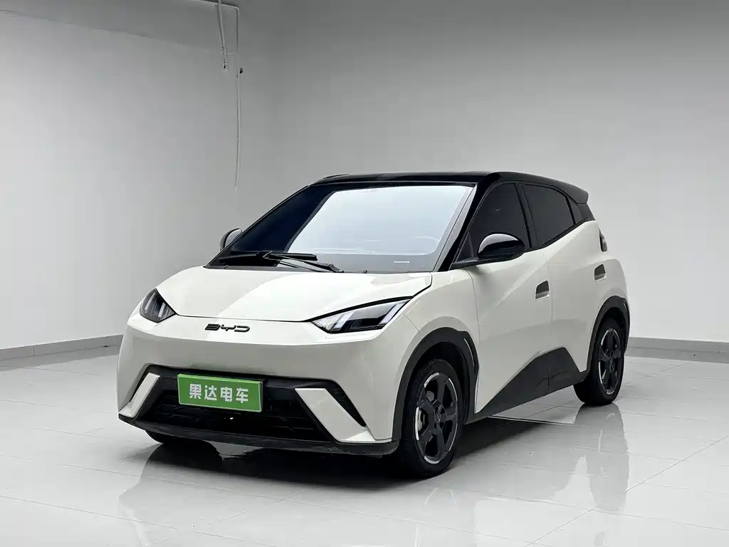 BYD Seagull 2024