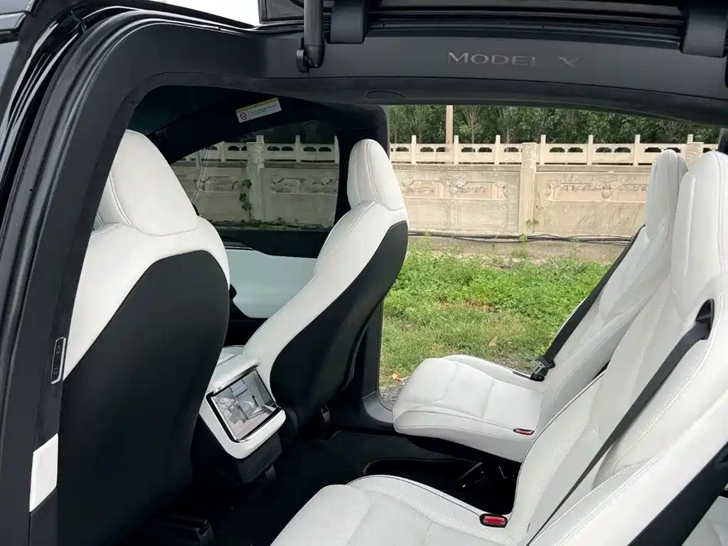 Tesla Model X 2023