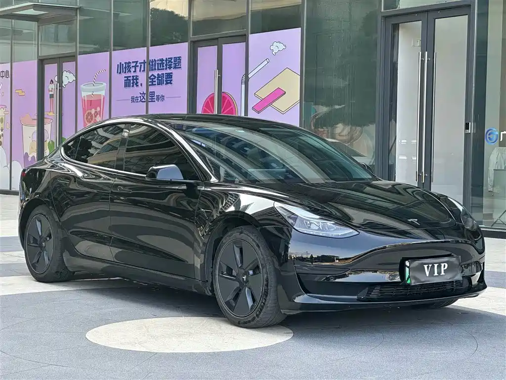 Tesla Model 3 2021