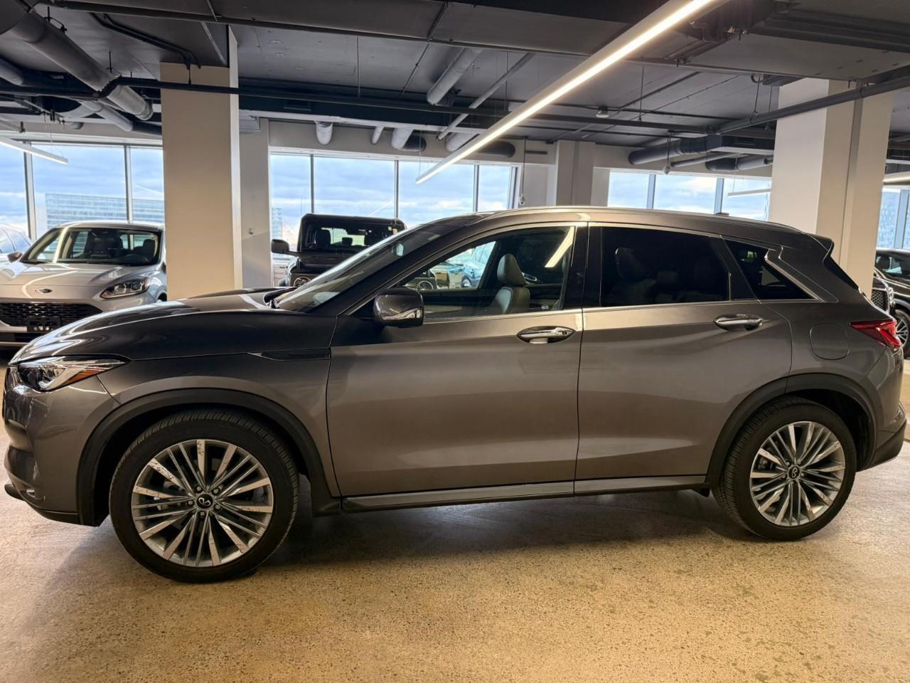 Infiniti QX50 2024