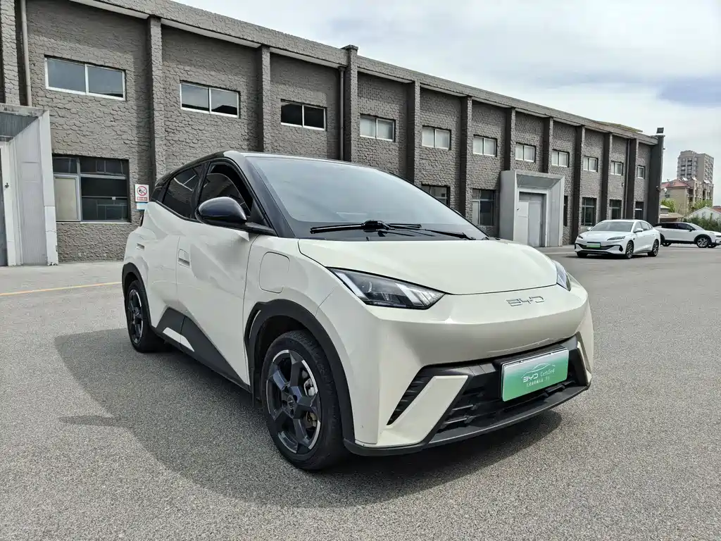 BYD Seagull 2024