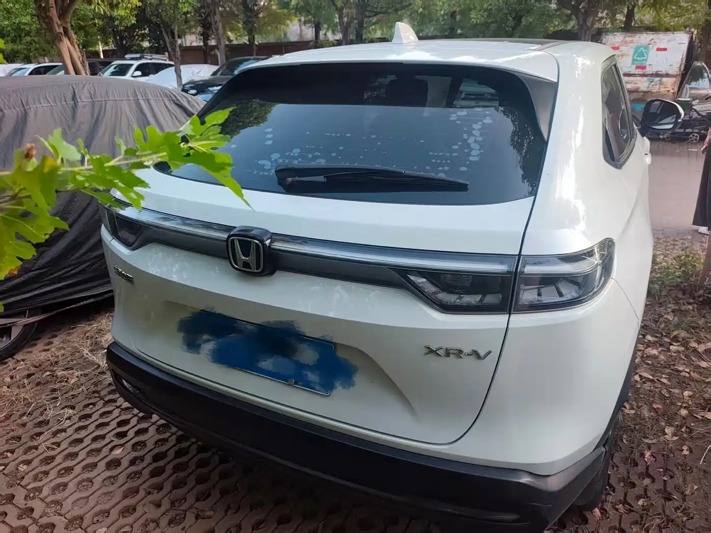 Honda XR-V 2023