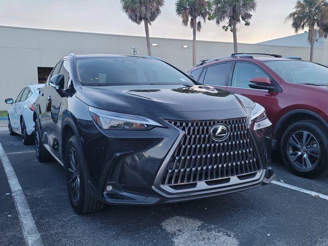 Lexus NX 2025