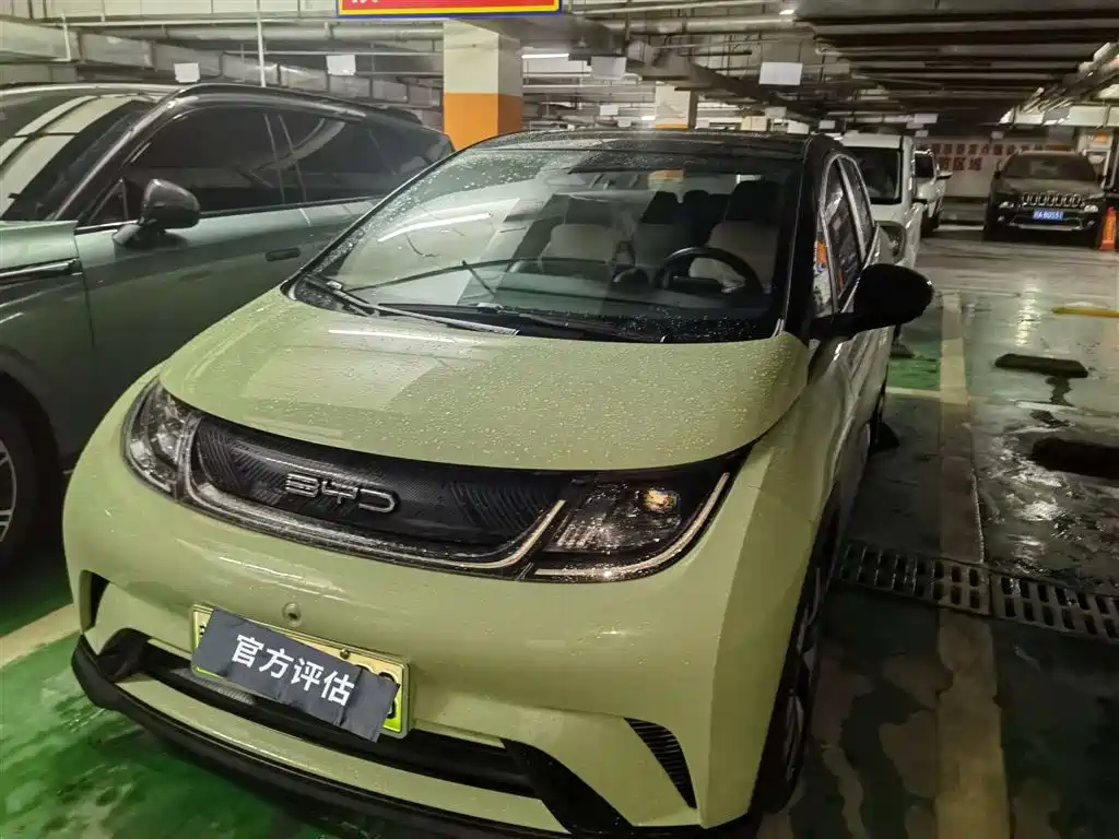 BYD Dolphin 2022