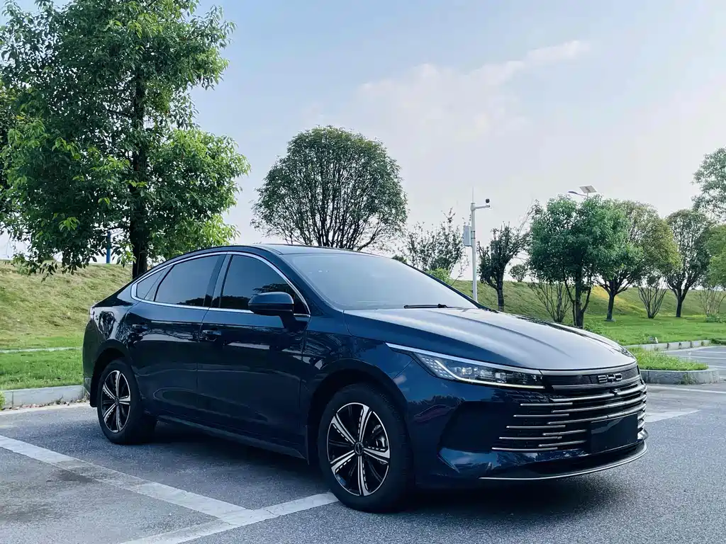 BYD Destroyer 05 2024