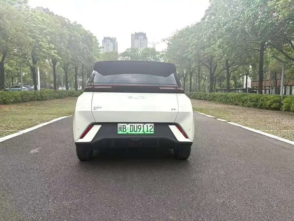 BYD Seagull 2024