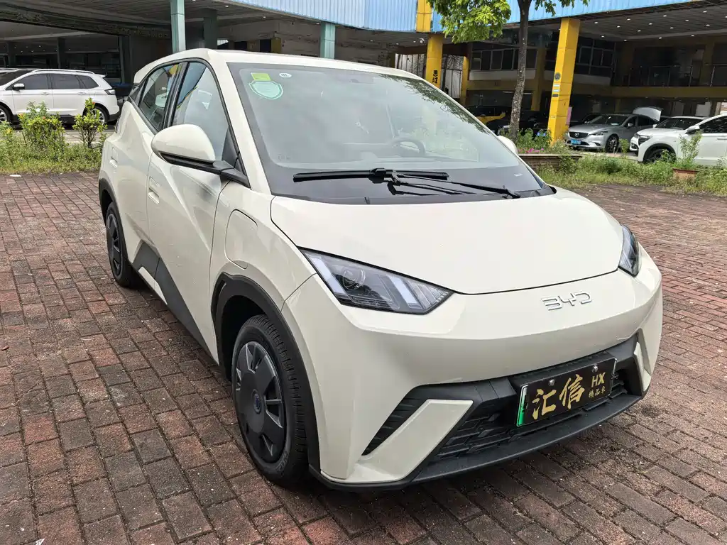 BYD Seagull 2024
