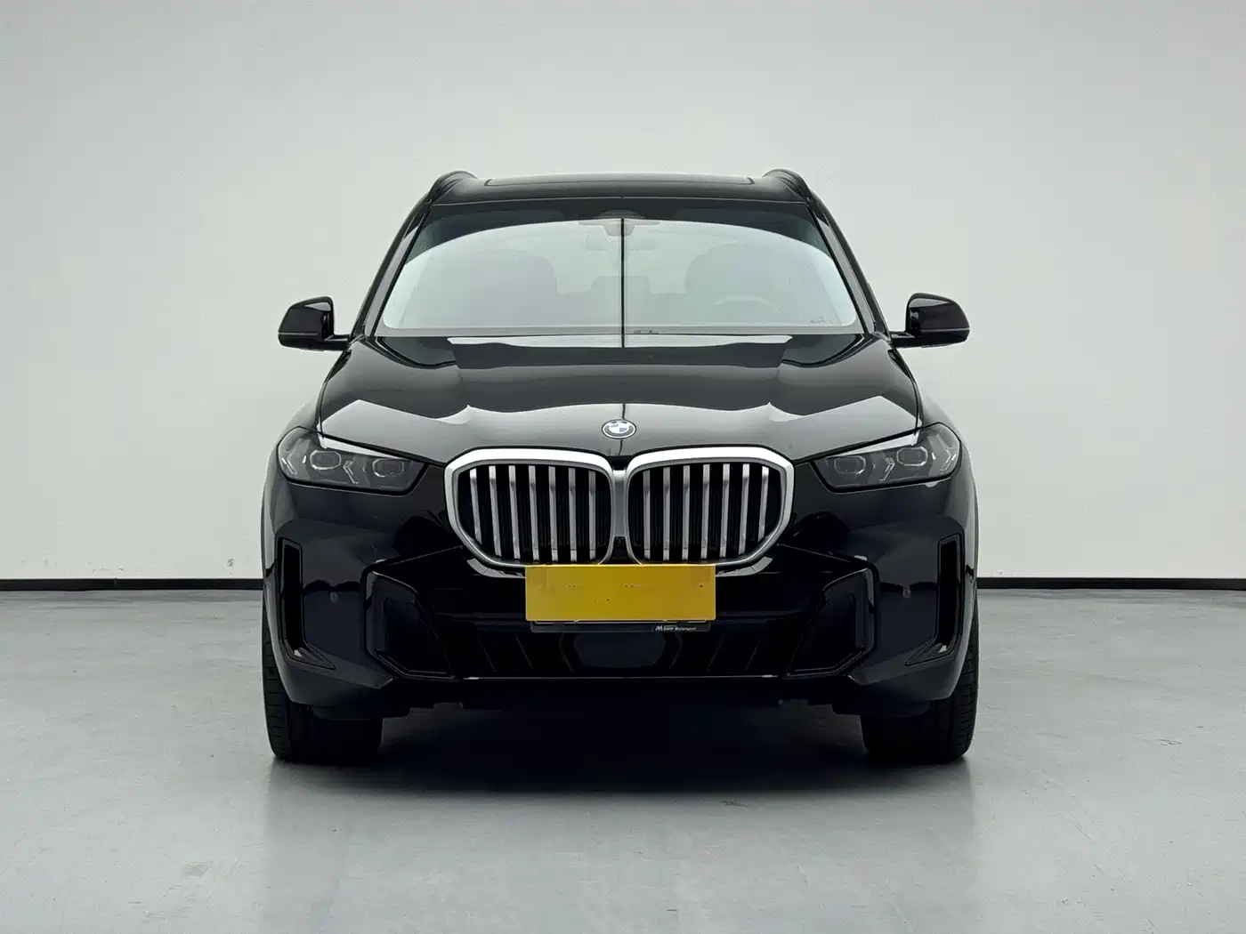 BMW X5 2024