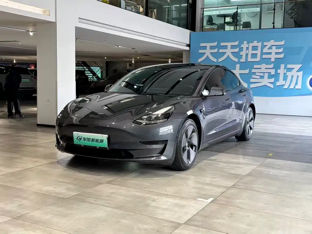 Tesla Model 3 2021