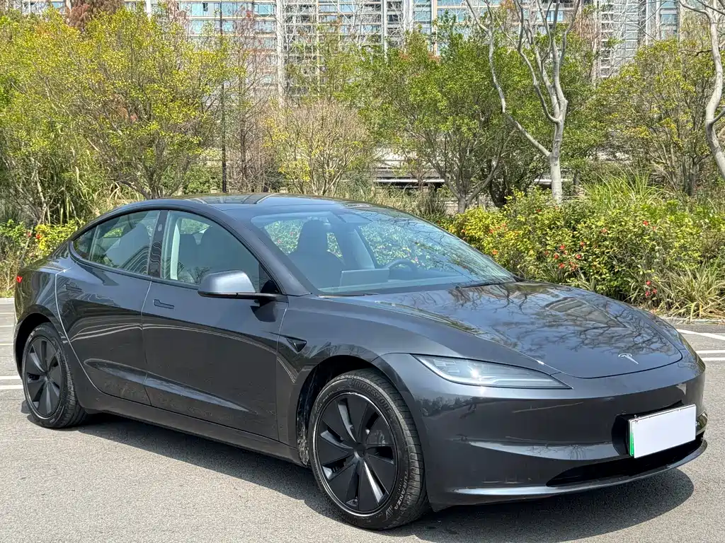 Tesla Model 3 2025