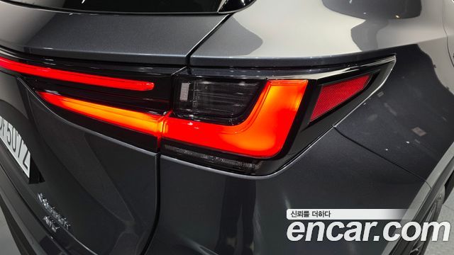 Lexus NX 2024