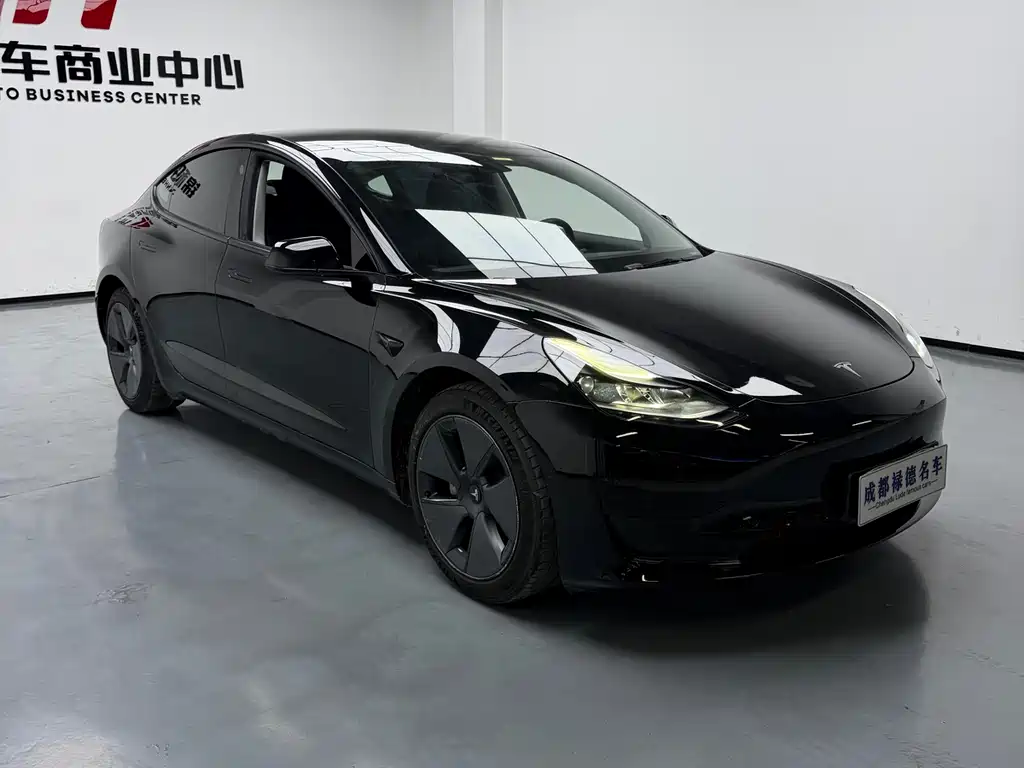 Tesla Model 3 2021
