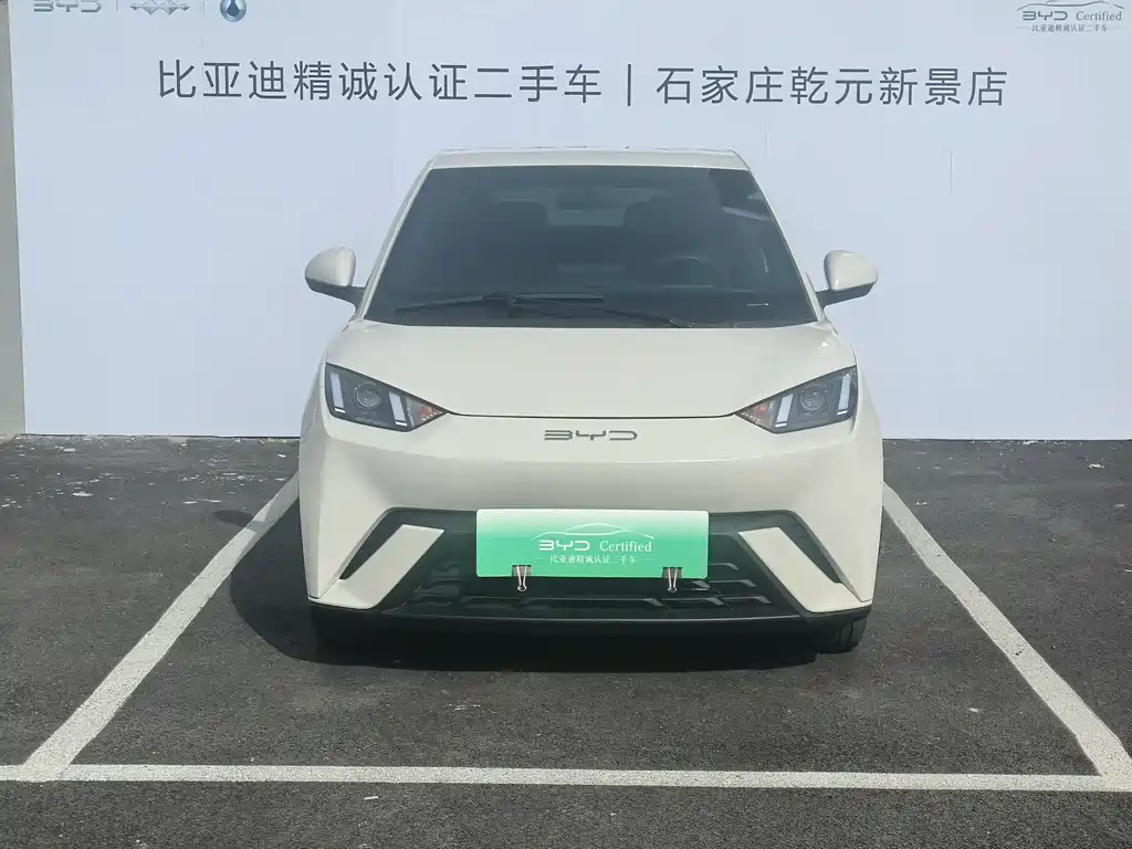 BYD Seagull 2024