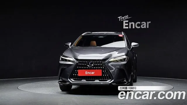 Lexus NX 2024