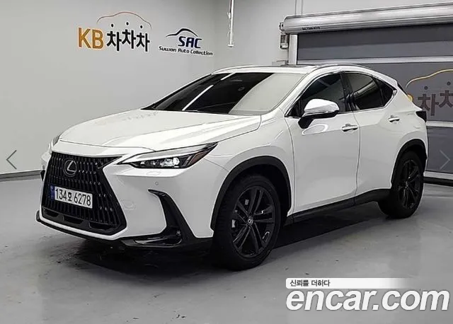 Lexus NX 2024