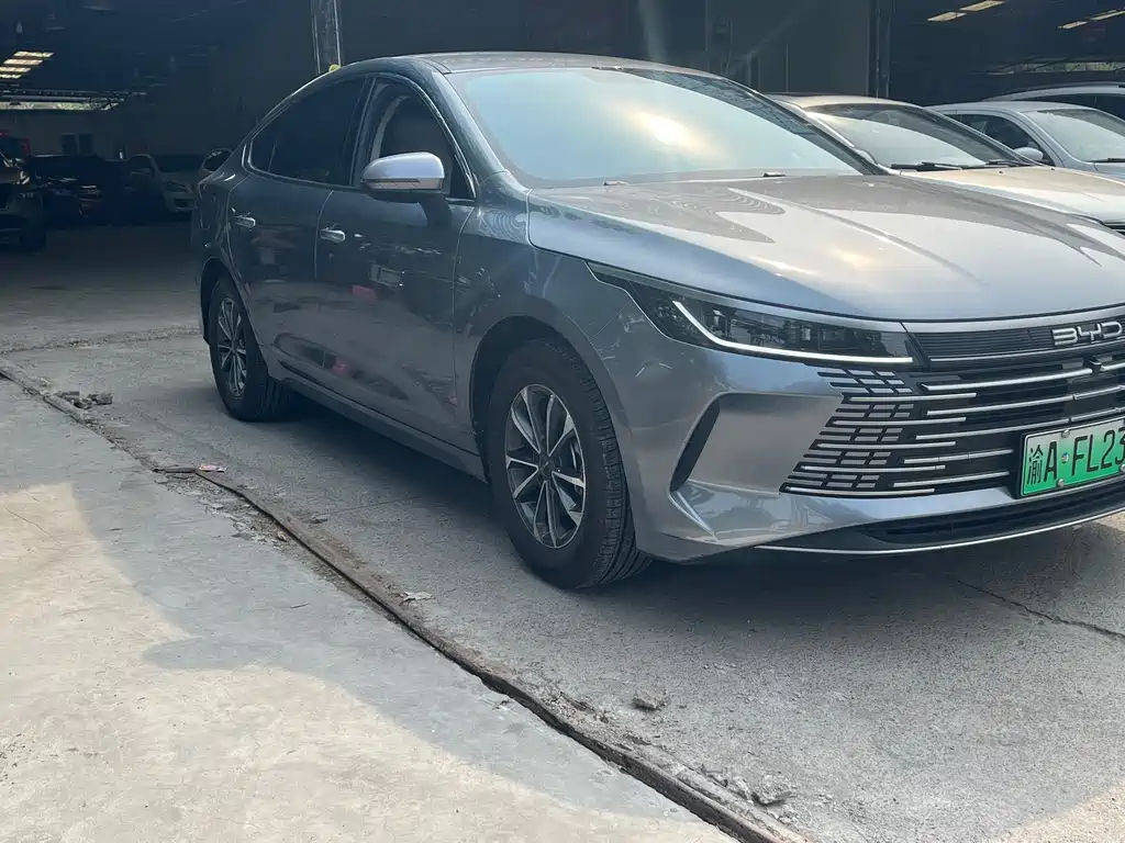 BYD Destroyer 05 2024