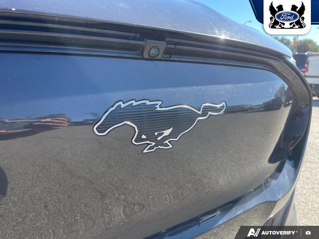 Ford Mustang Mach-E 2022
