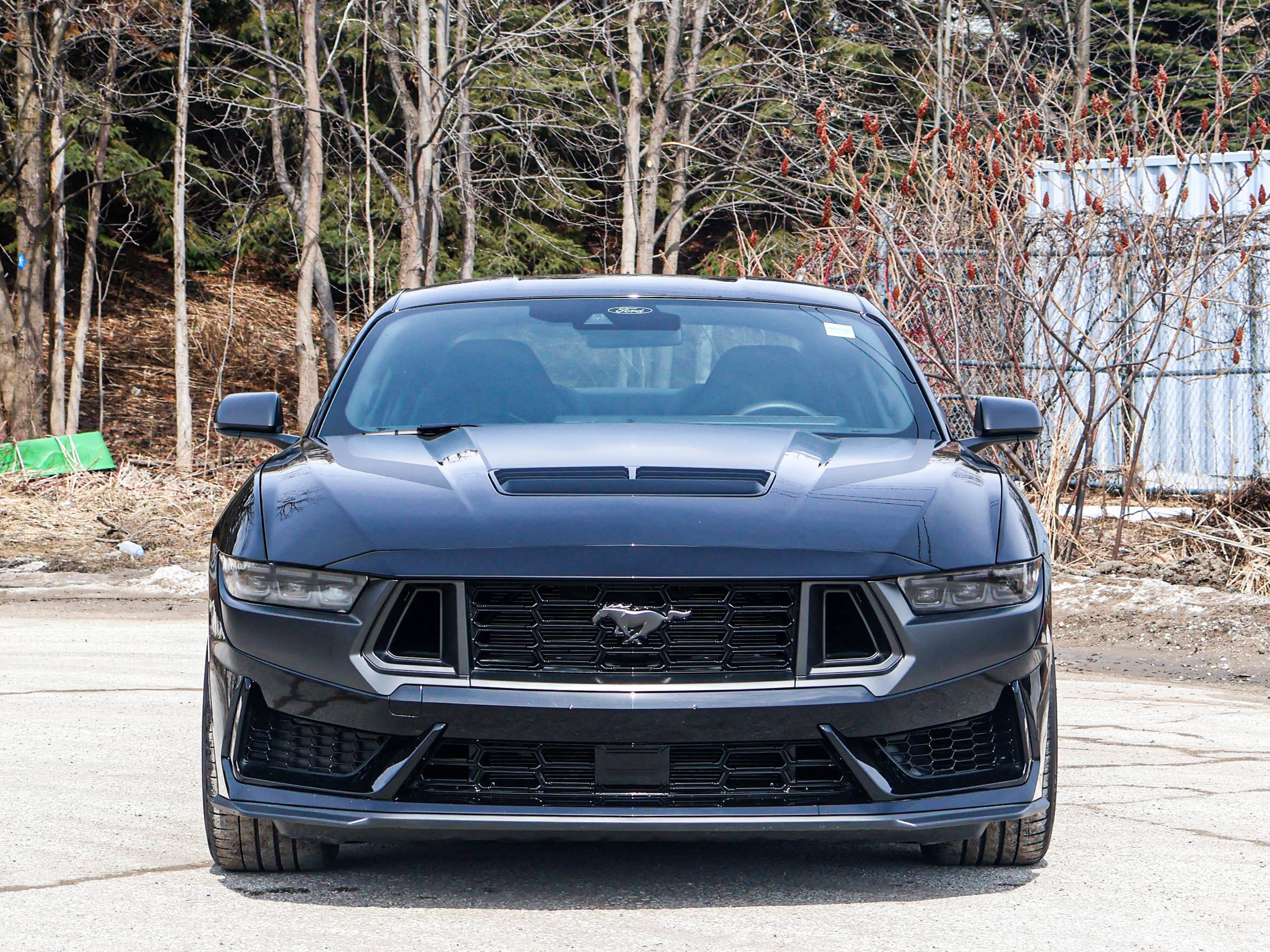 Ford Mustang 2024