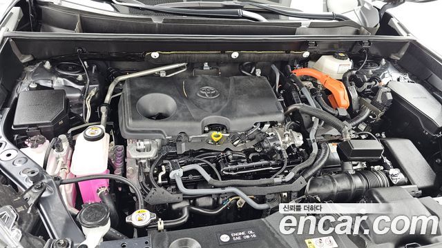 Toyota RAV4 2025