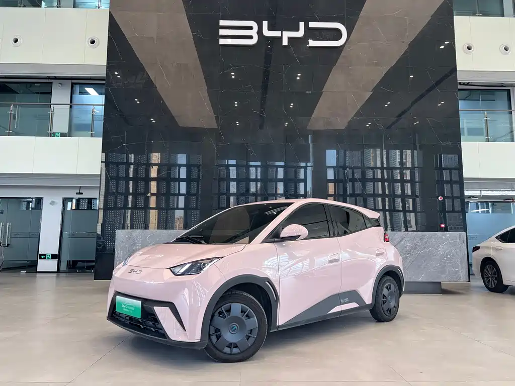 BYD Seagull 2024