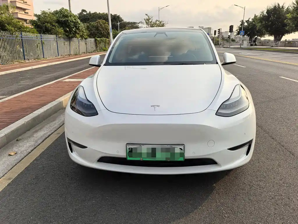 Tesla Model Y 2021