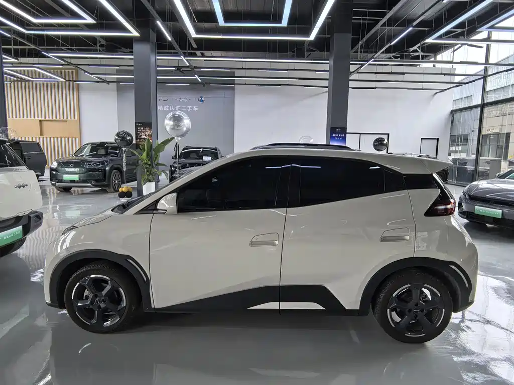 BYD Seagull 2024