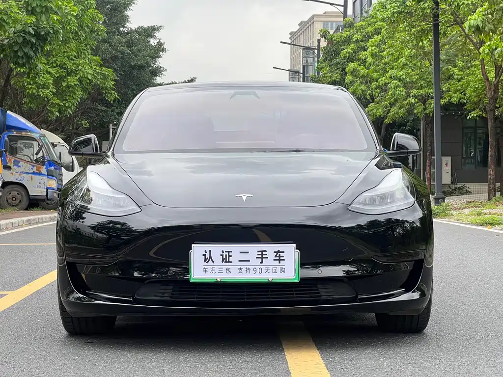 Tesla Model 3 2021