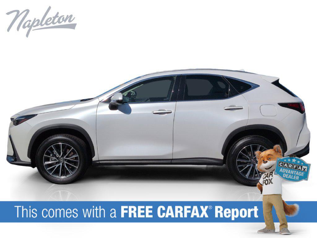 Lexus NX 2024