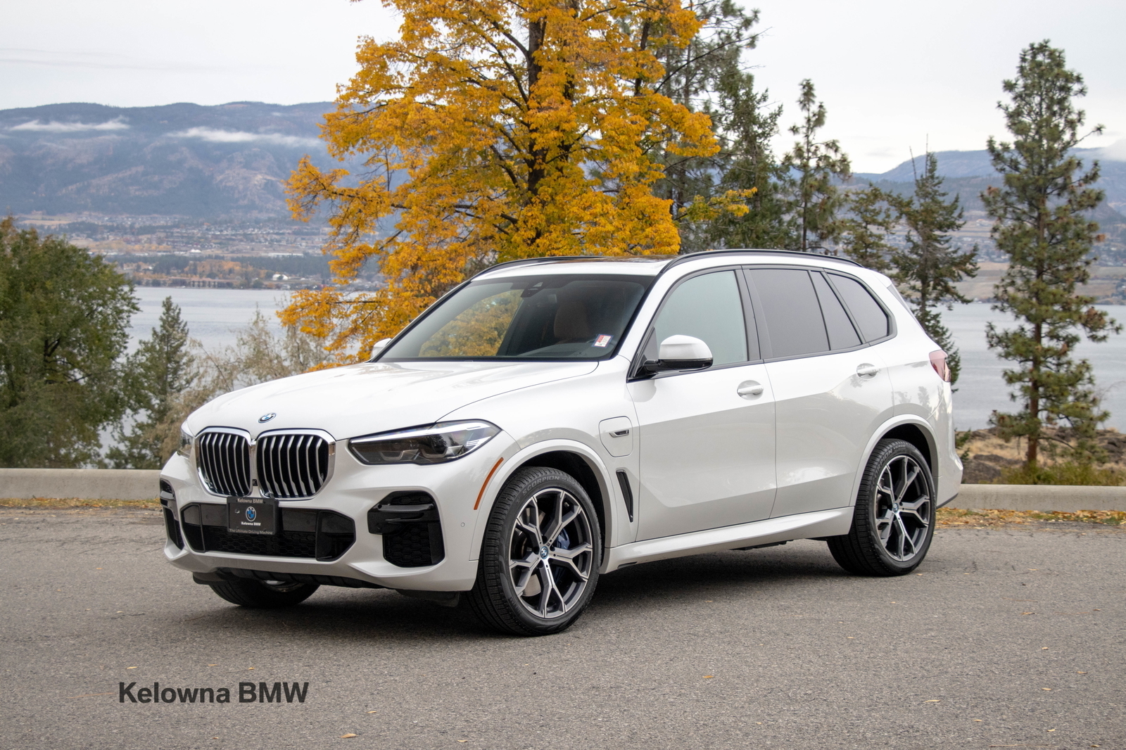 BMW X5 2022
