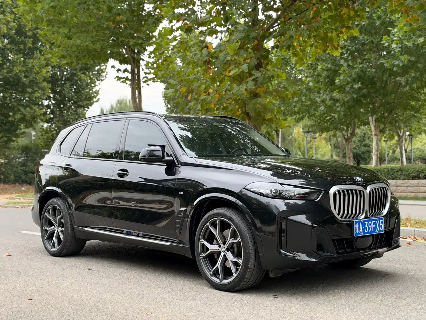 BMW X5 2024
