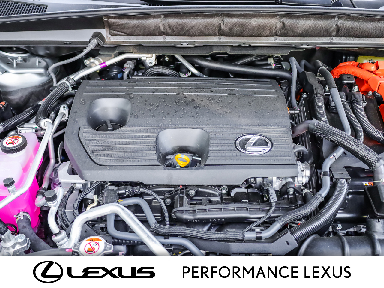 Lexus RX 2025
