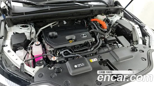 Lexus NX 2024
