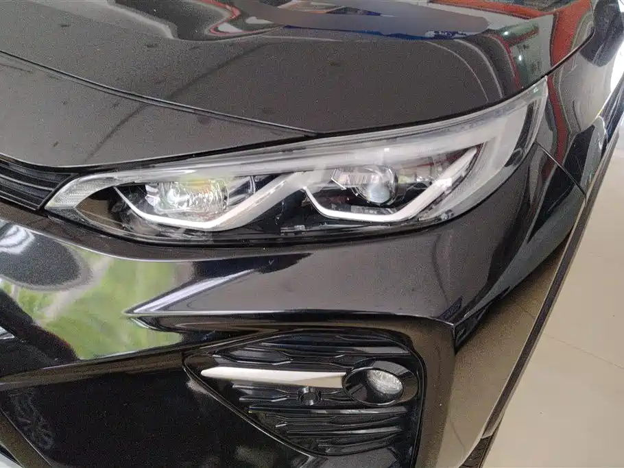 Toyota Wildlander 2021