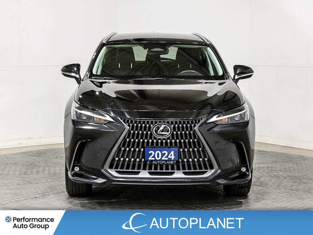 Lexus NX 2024