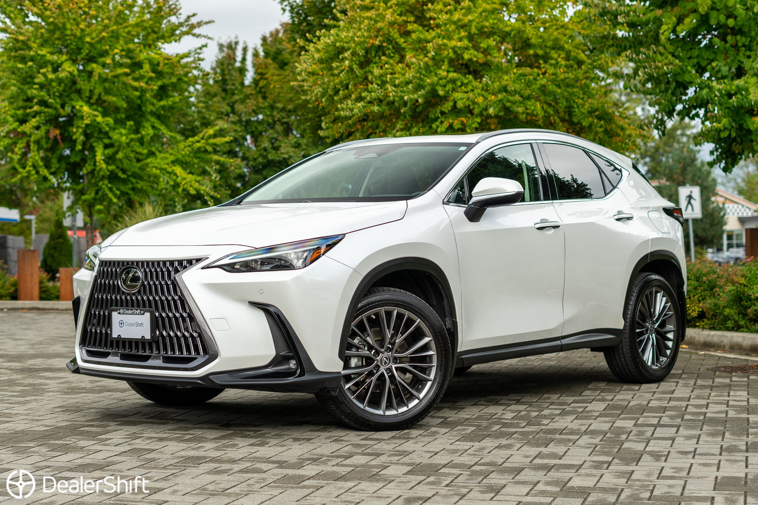 Lexus NX 2022