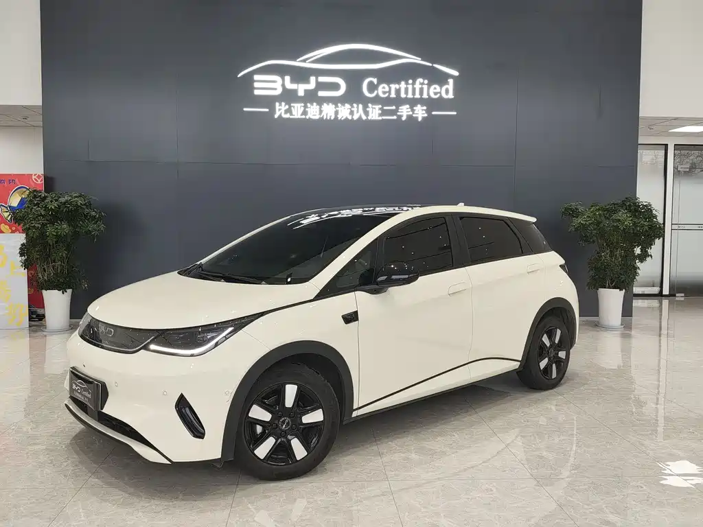 BYD Dolphin 2025
