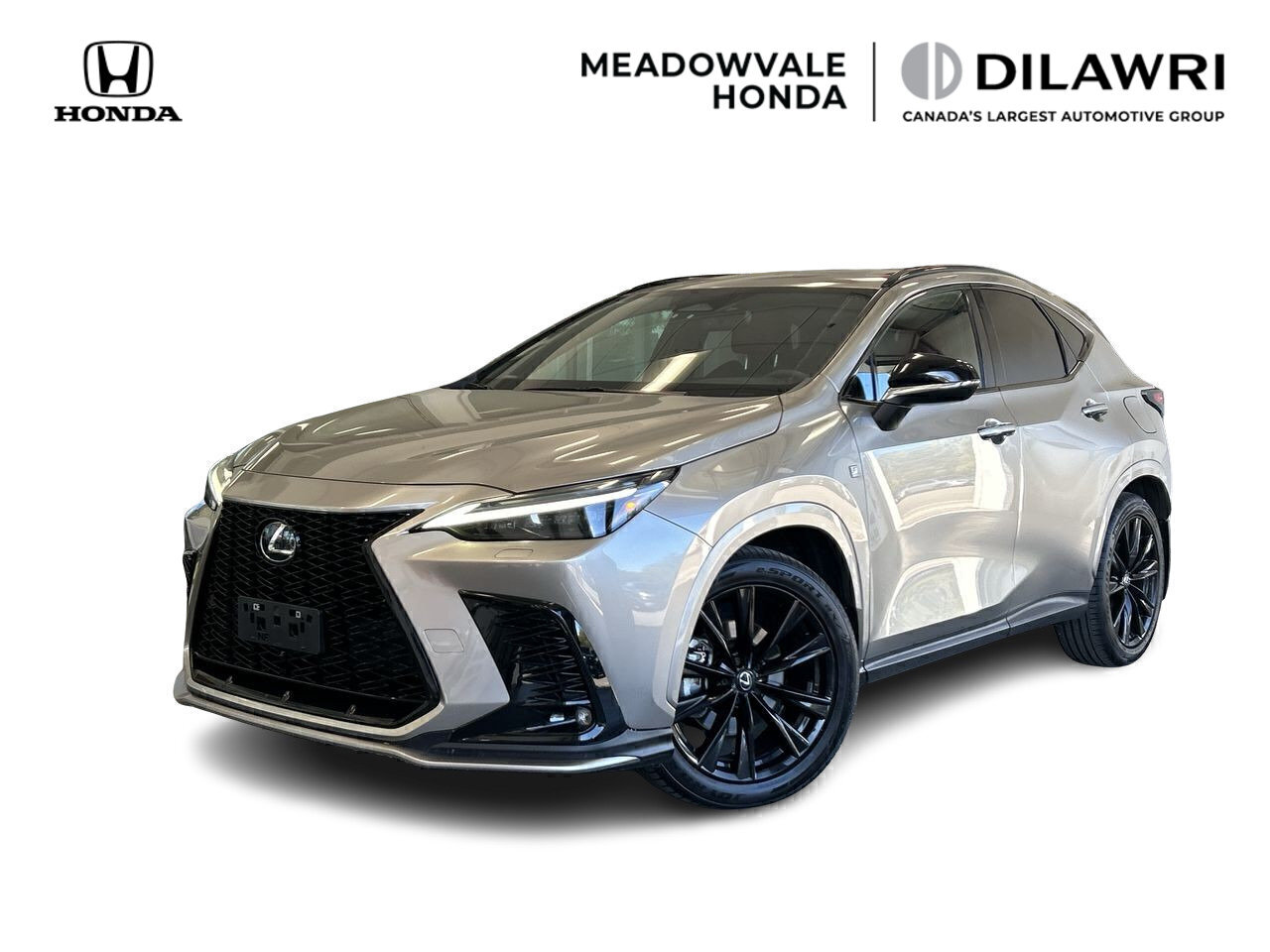Lexus NX 2023