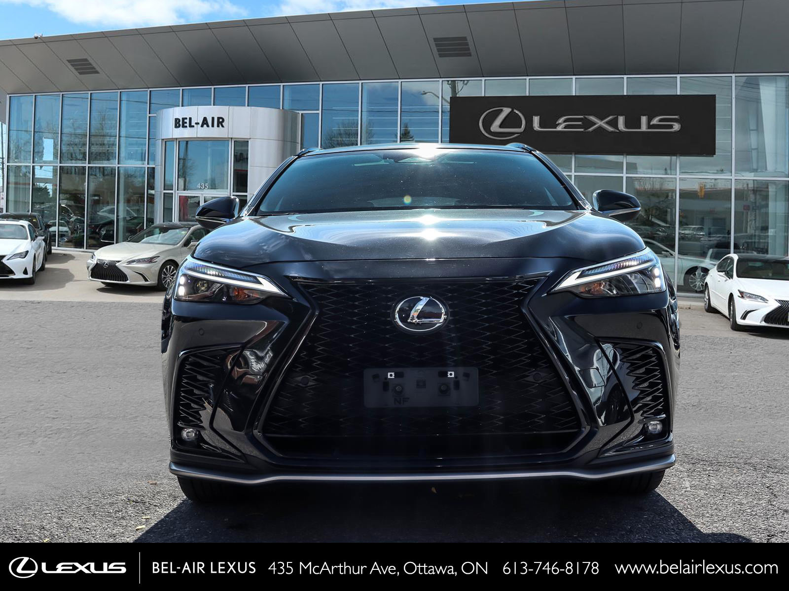 Lexus NX 350 2024