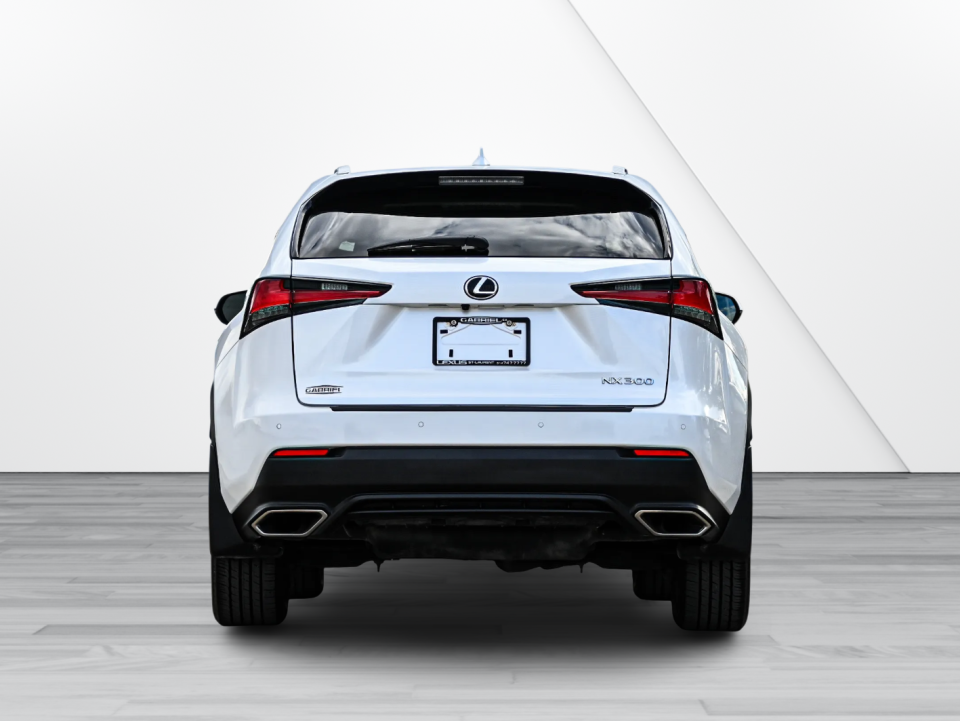 Lexus NX 300 2021