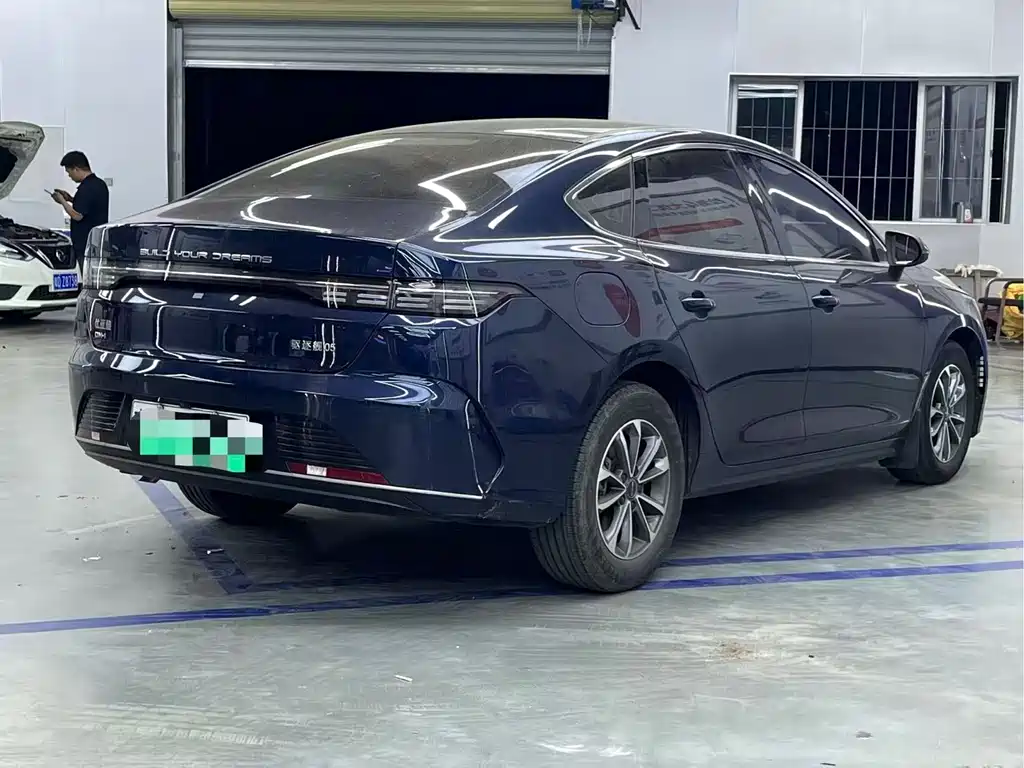 BYD Destroyer 05 2024