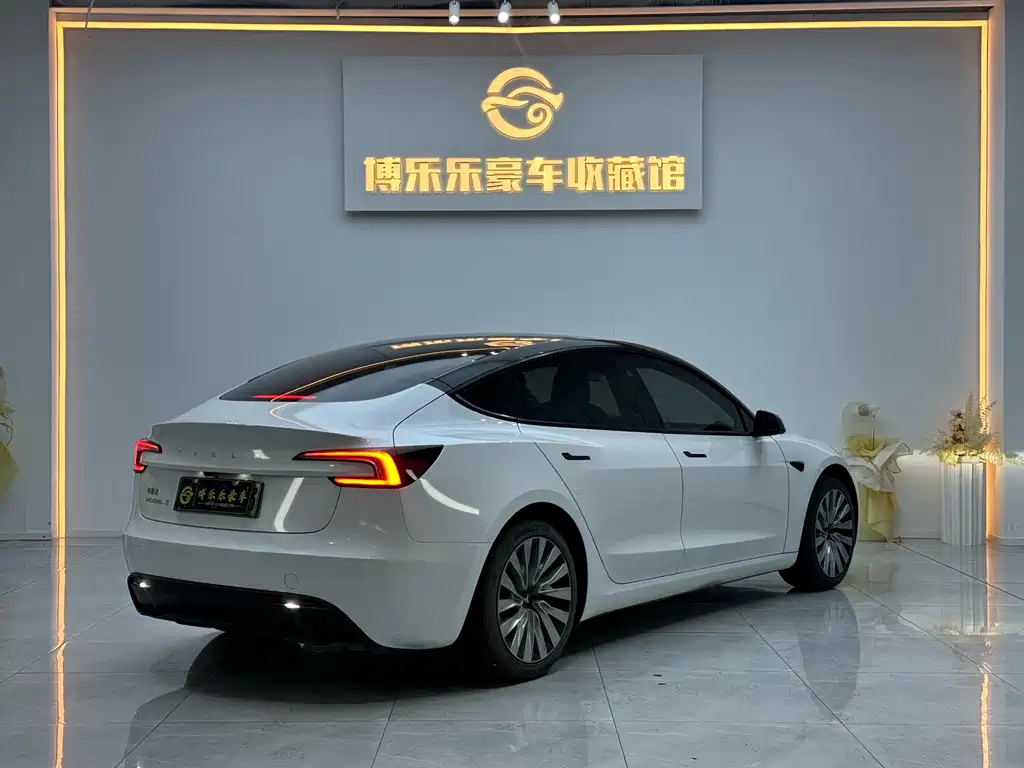 Tesla Model 3 2025